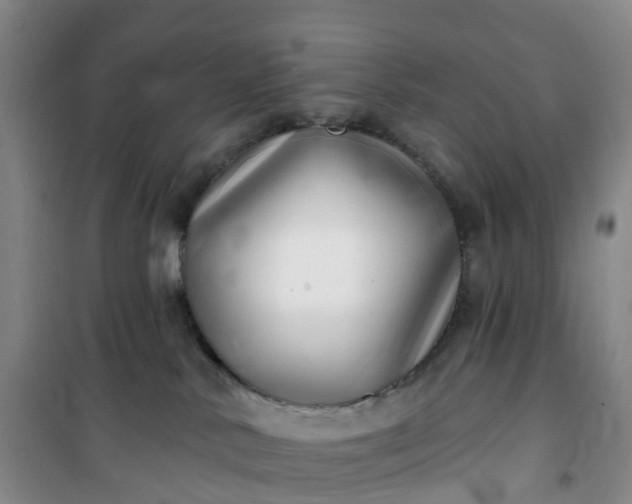 X0000101180042200807111125