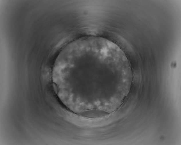 X0000101180043200807111125