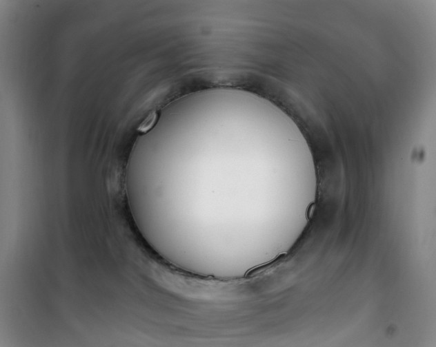 X0000101180044200807111125