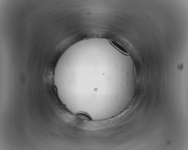 X0000101180045200807111125