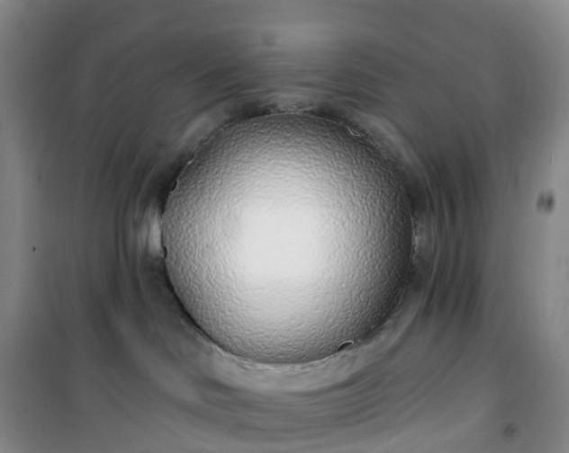 X0000101180046200807111125