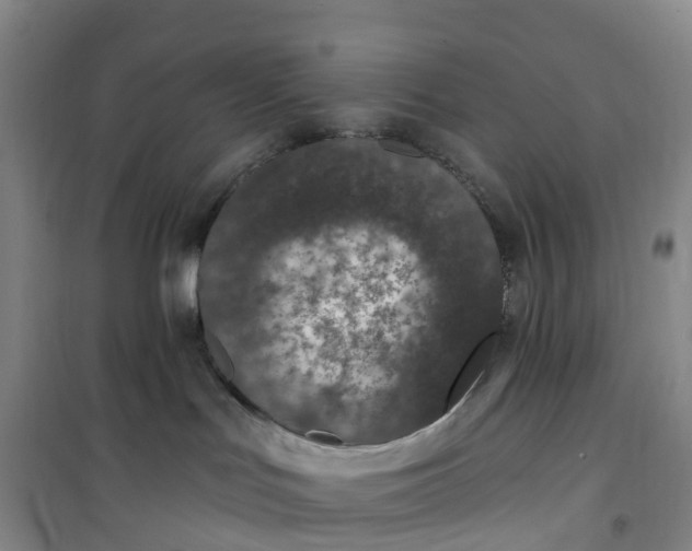 X0000101180047200807111125