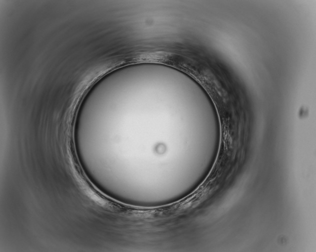 X0000101180049200807111125