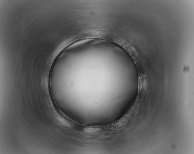 X0000101180051200807111125