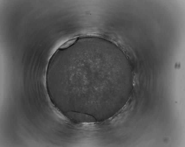 X0000101180052200807111125