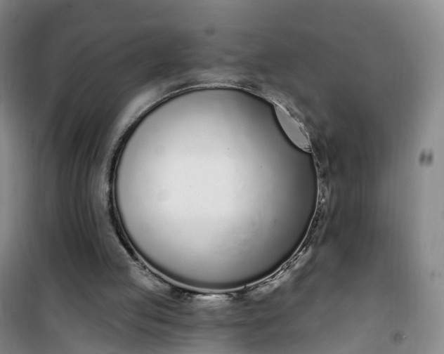 X0000101180053200807111125