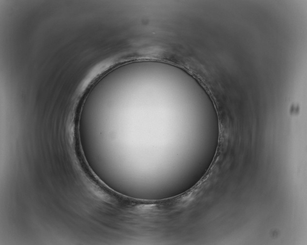 X0000101180054200807111125