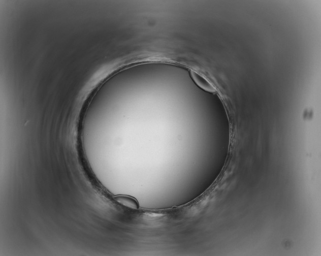 X0000101180055200807111125