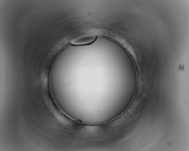 X0000101180057200807111125