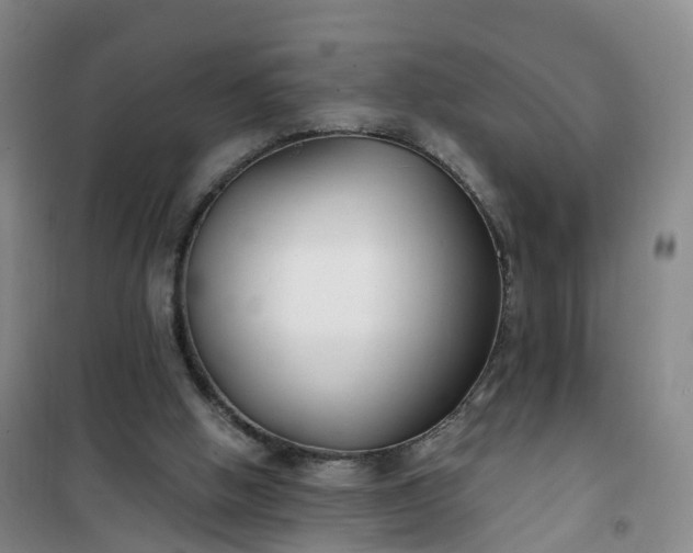 X0000101180058200807111125