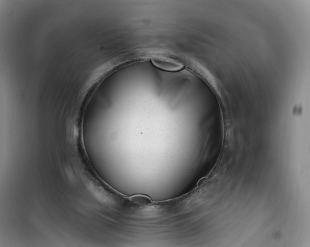 X0000101180059200807111125