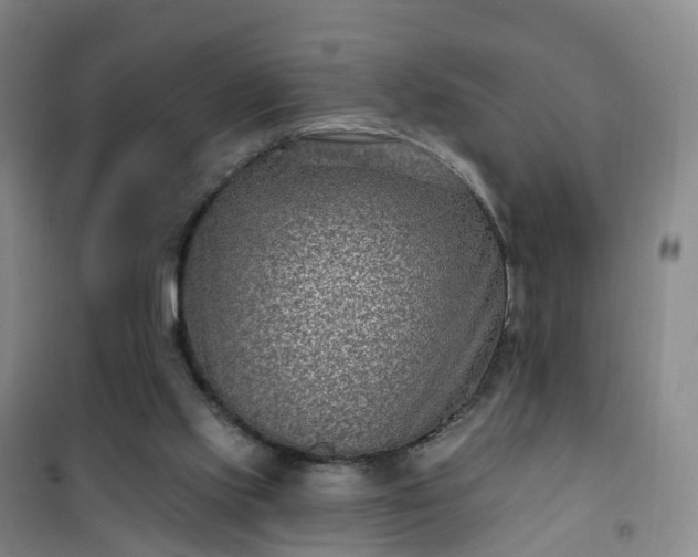 X0000101180061200807111125