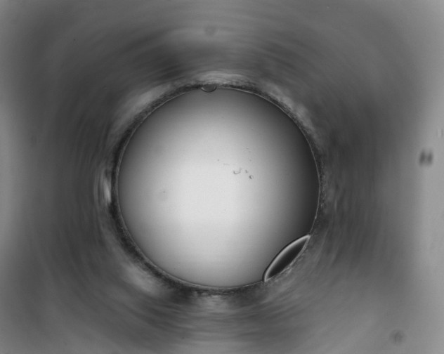 X0000101180062200807111125