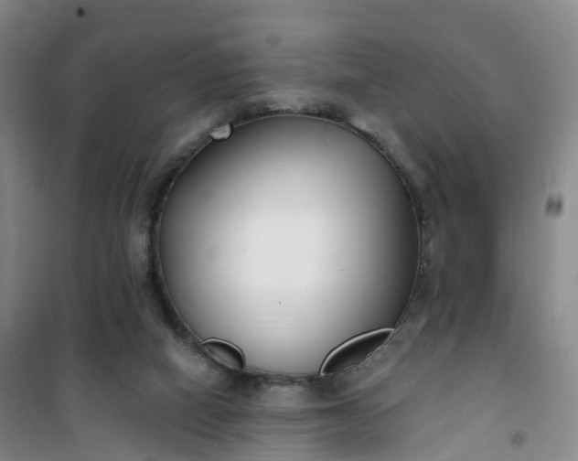 X0000101180066200807111125