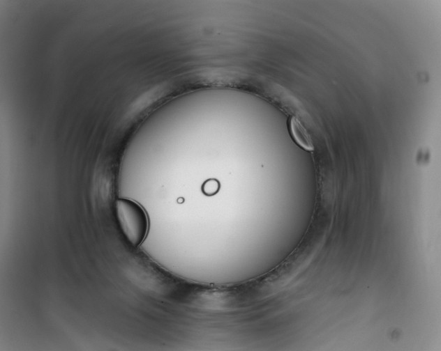 X0000101180071200807111125