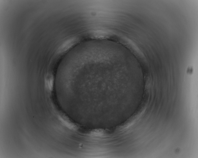 X0000101180076200807111125