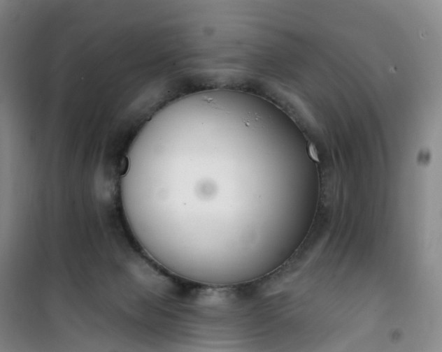 X0000101180077200807111125