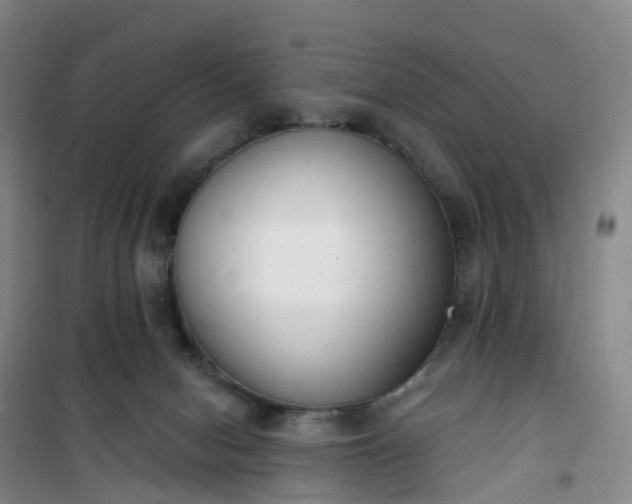 X0000101180078200807111125