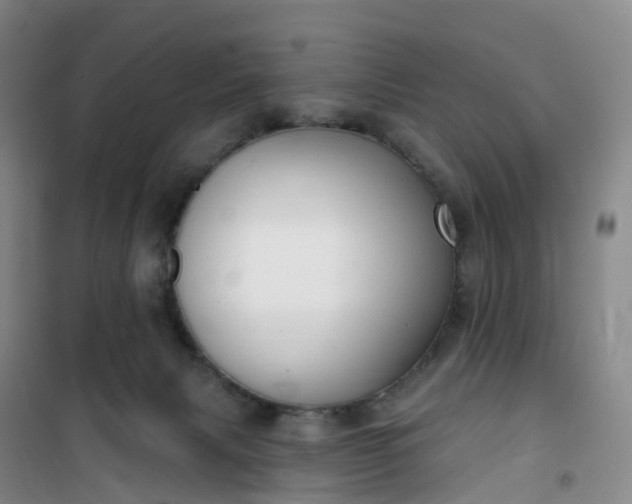 X0000101180079200807111125