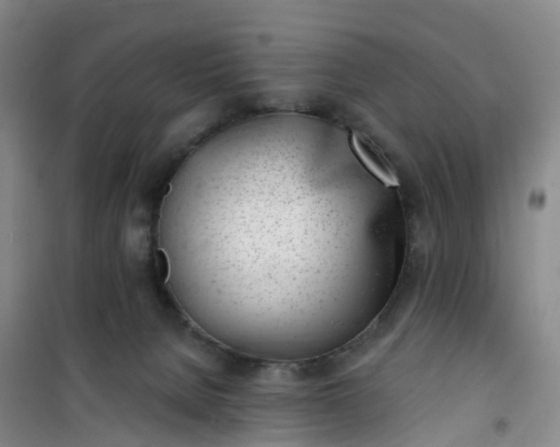 X0000101180080200807111125