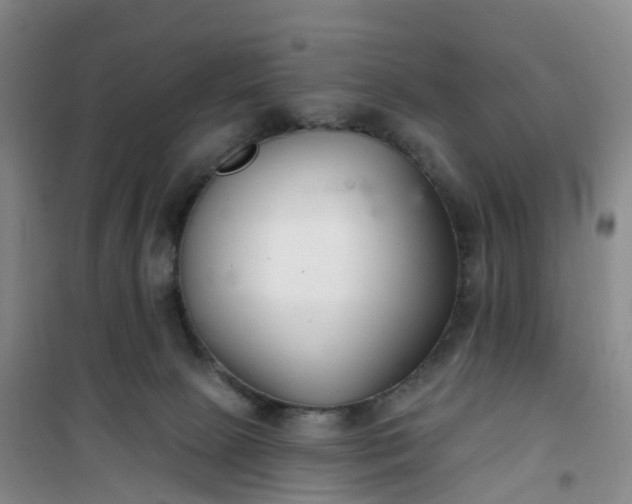 X0000101180081200807111125