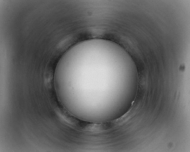 X0000101180082200807111125