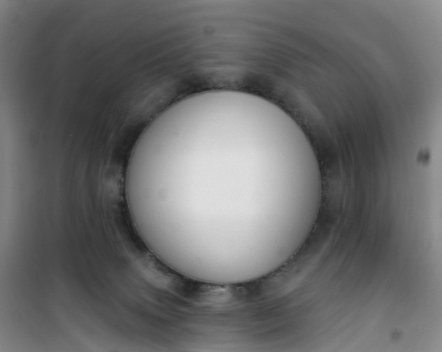 X0000101180083200807111125