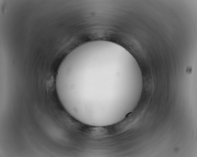 X0000101180087200807111125