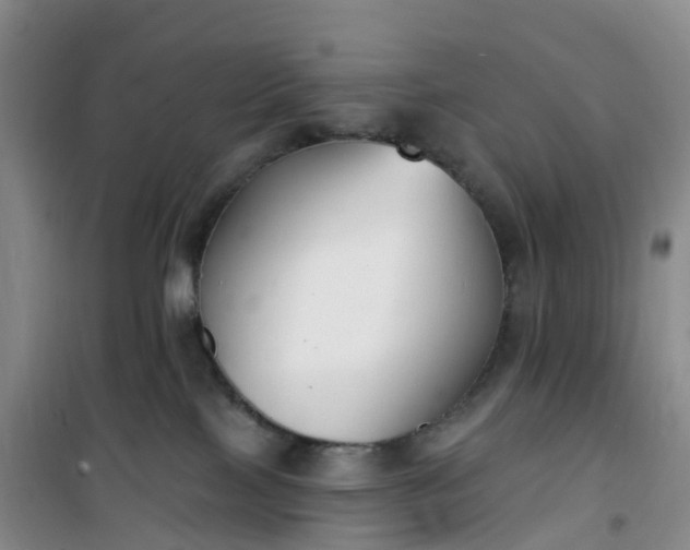 X0000101180089200807111125