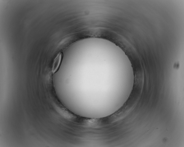 X0000101180092200807111125