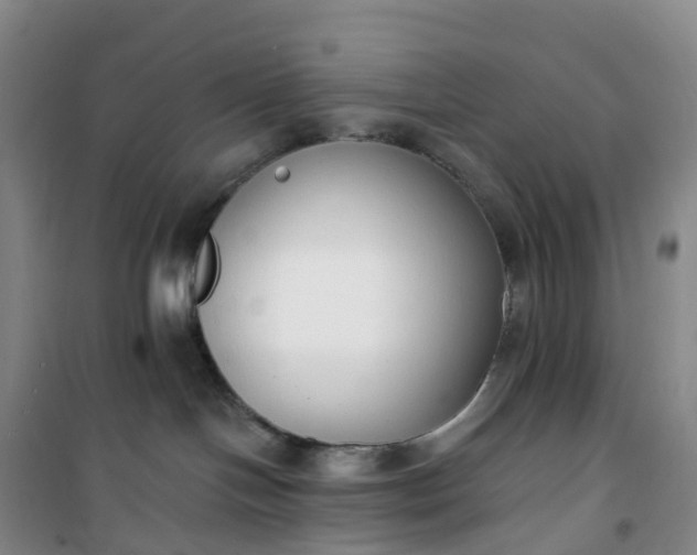 X0000101180094200807111125