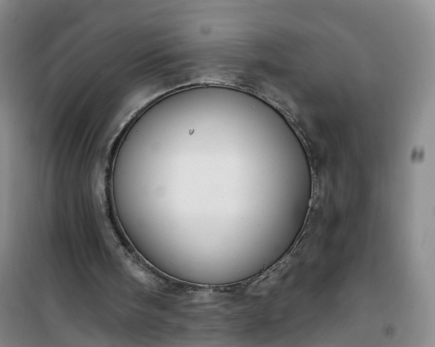 X0000101180098200807111125