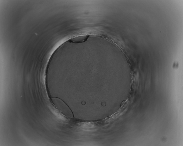 X0000101180100200807111125