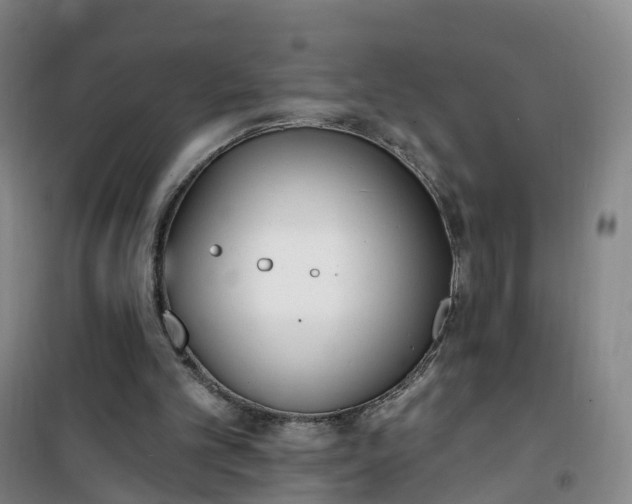 X0000101180101200807111125