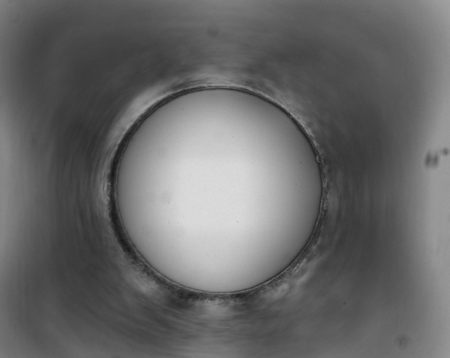 X0000101180103200807111125