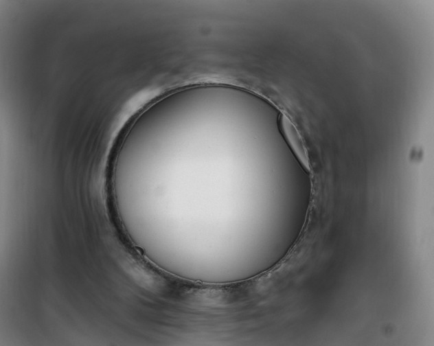 X0000101180104200807111125