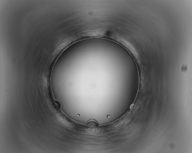 X0000101180105200807111125