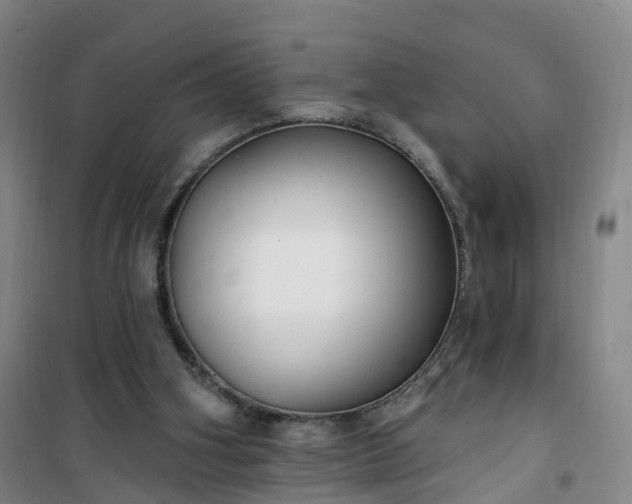 X0000101180106200807111124