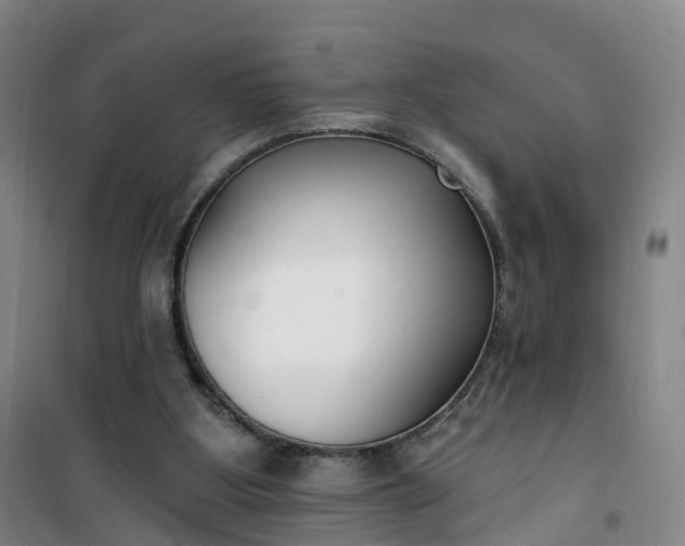 X0000101180107200807111124