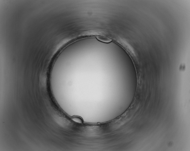 X0000101180108200807111124