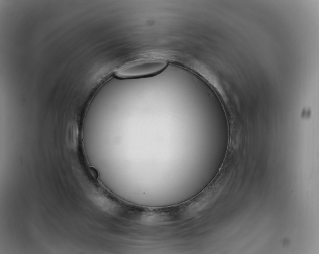 X0000101180109200807111124