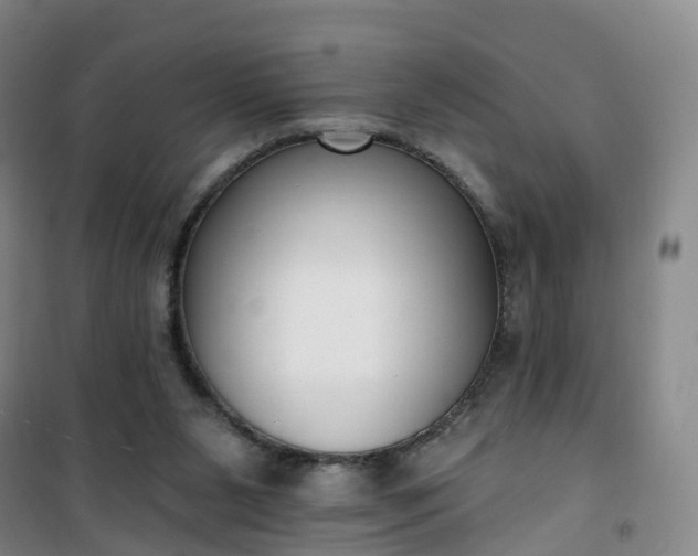 X0000101180111200807111124