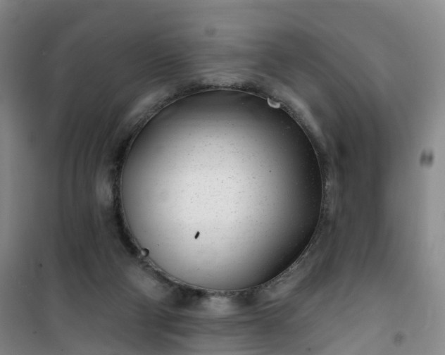 X0000101180114200807111124