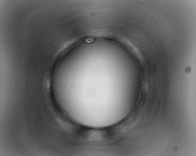 X0000101180115200807111124