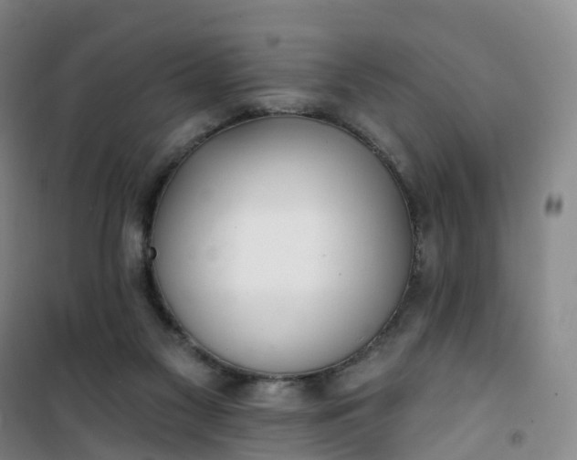 X0000101180117200807111124