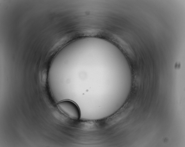 X0000101180118200807111124