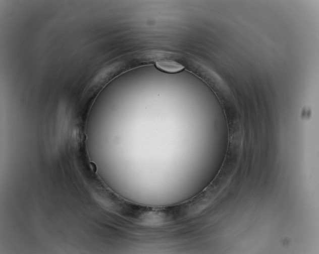 X0000101180119200807111124