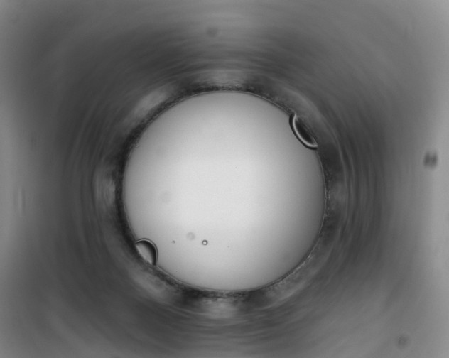 X0000101180120200807111124