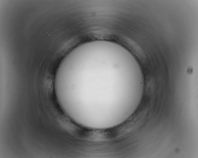 X0000101180121200807111124