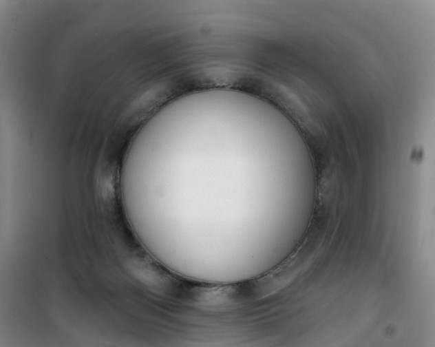 X0000101180122200807111124